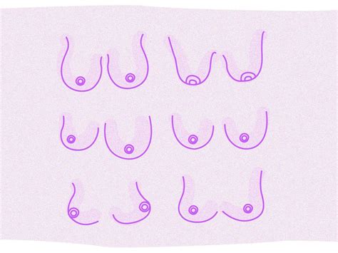 busty areolas|The 12 Different Breast Shapes and Types